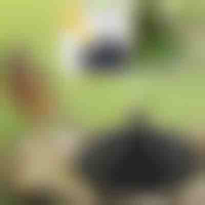 Dê vida ao seu jardim com a fonte mágica solar | FONTANA