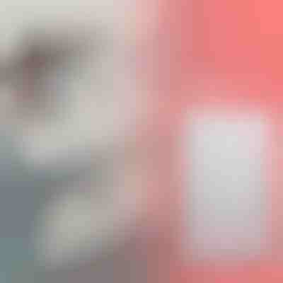 Prateleira de arrumação expansível | SHELFEXPEND