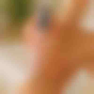 Calcanhares rachados lisos em 5 minutos | PEDIVIA