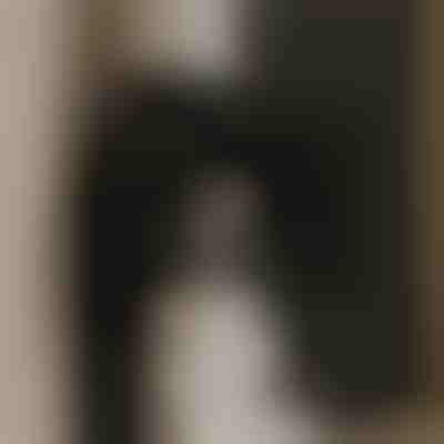 Ventoinha de extração potente para ar limpo | VENTORIS